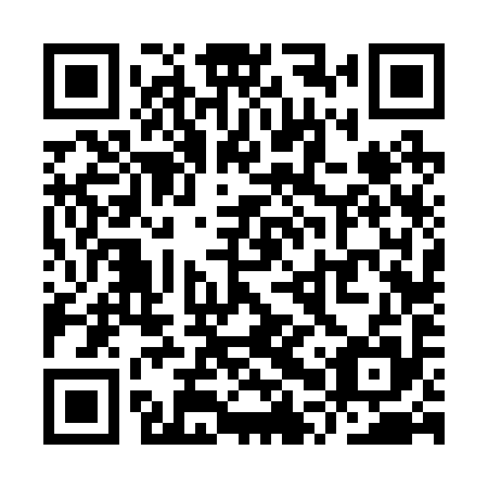 QR code for YPV 295
