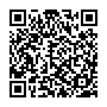 QR code for YPX 295