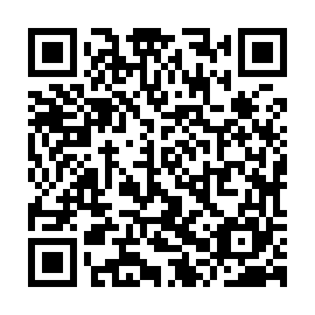 QR code for YPZ 965