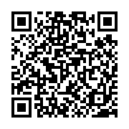 QR code for plate YQS 613