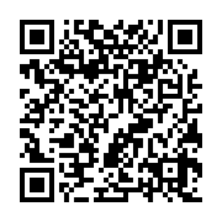 QR code for plate YRG 038