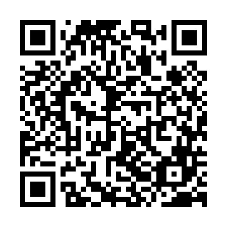 QR code for plate YRM 046