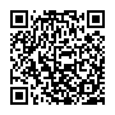 QR code for YRR 595