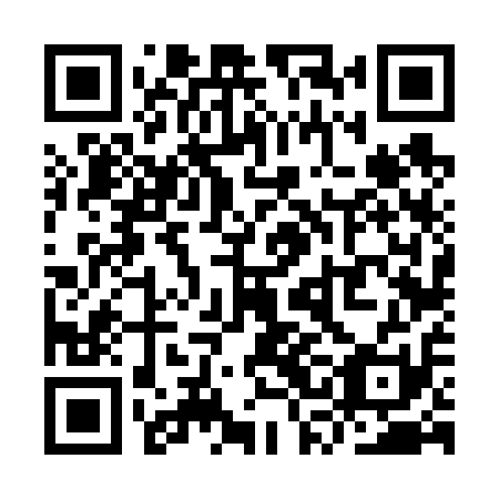 QR code for YSF 611