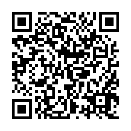 QR code for plate YSF 046