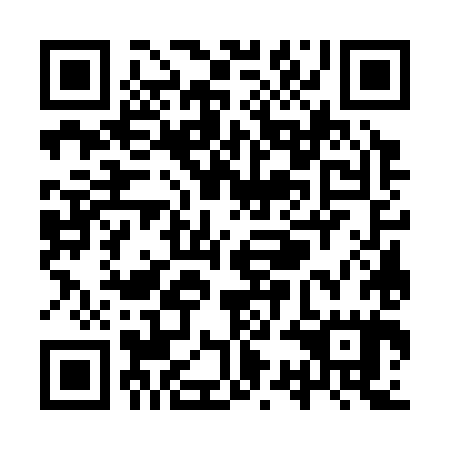 QR code for YSG 385