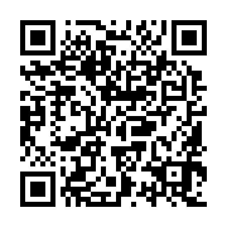 QR code for plate YSM 390