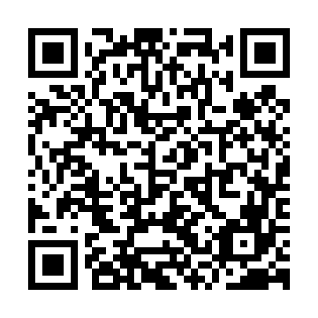 QR code for YSS 466