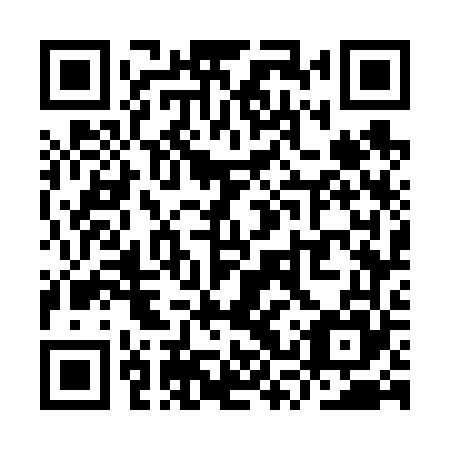 QR code for plate YSW 665