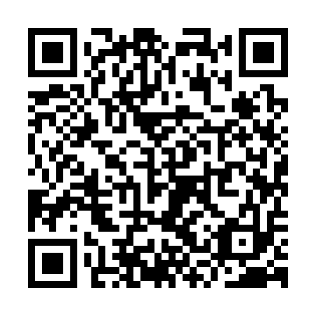 QR code for YSY 313