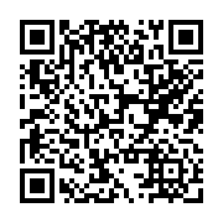 QR code for YSZ 341