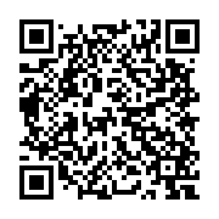 QR code for plate YTM 541