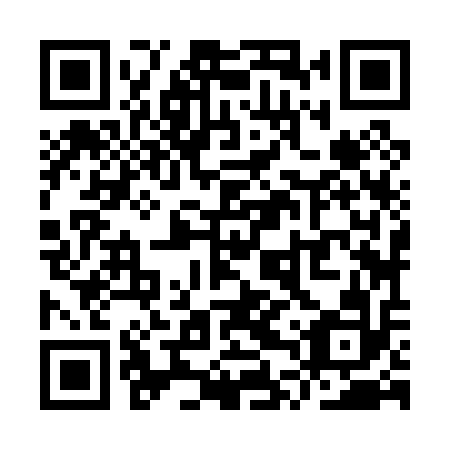 QR code for YTZ 012