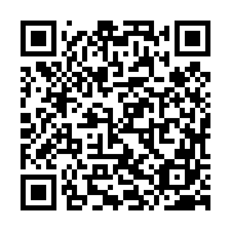QR code for YTZ 462