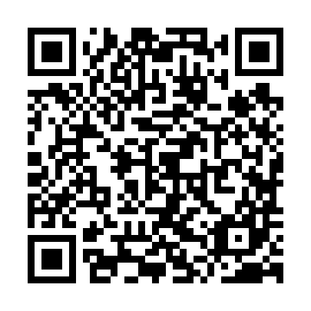 QR code for YTZ 687