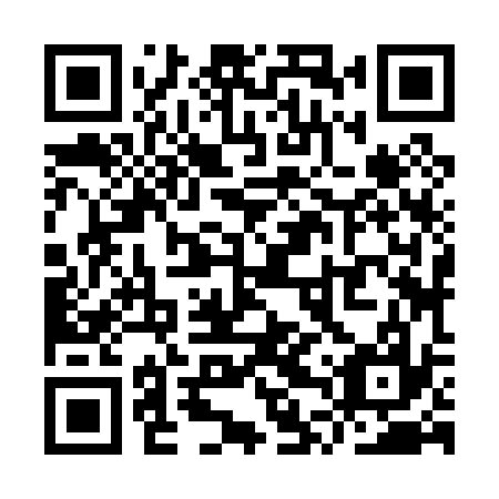 QR code for plate YTZ 037