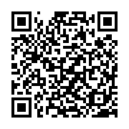 QR code for plate YTZ 511