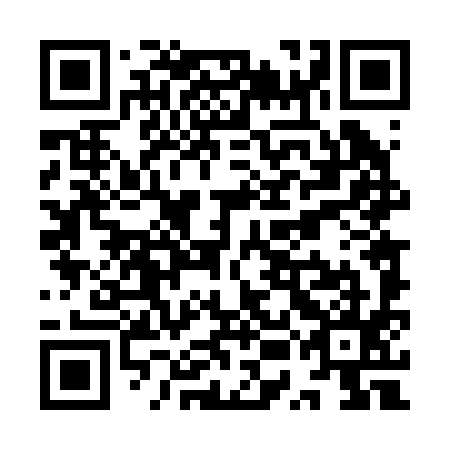QR code for YUD 295