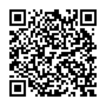 QR code for YVA 295