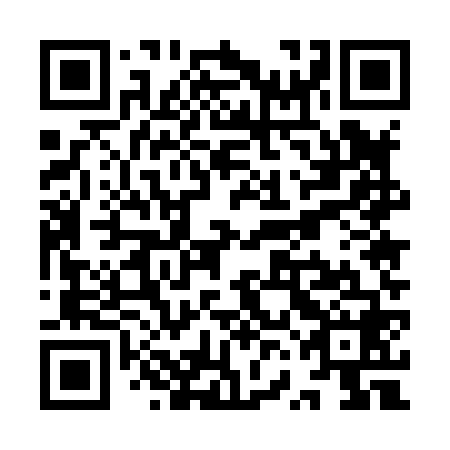 QR code for YVE 868