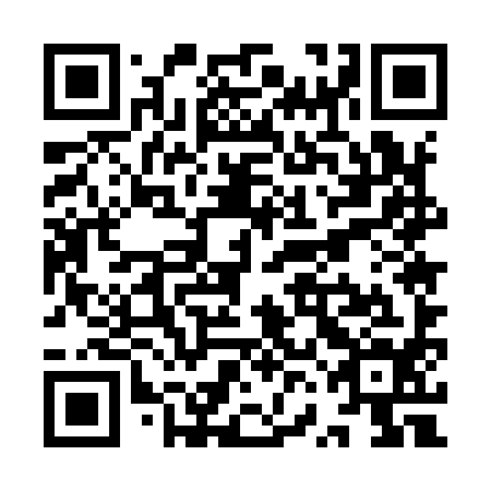 QR code for plate YVE 994