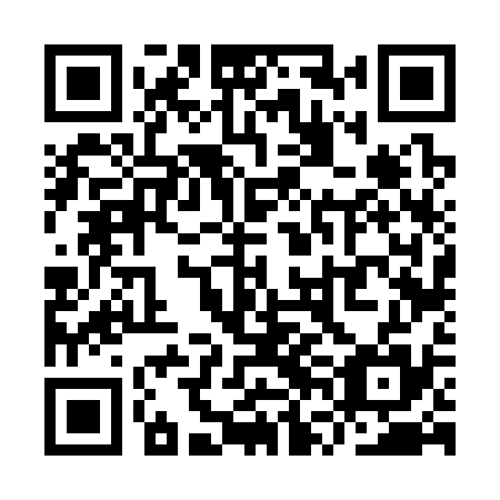 QR code for YVF 335