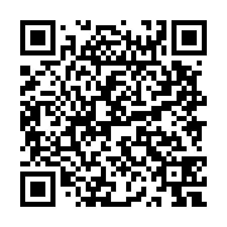 QR code for plate YVH 538