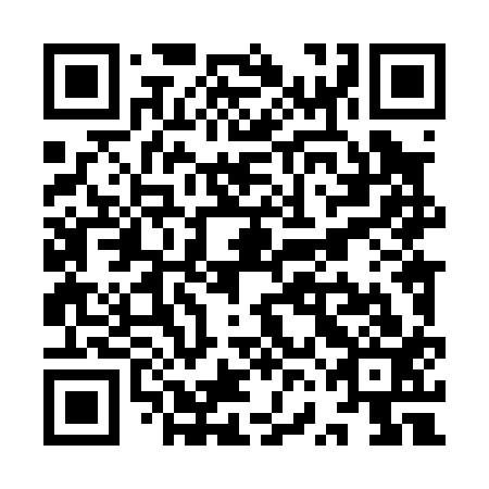 QR code for YVL013