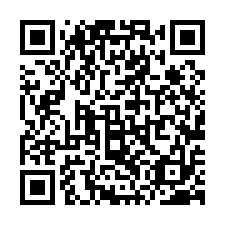 QR code for YWL 113