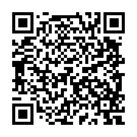 QR code for plate YWL 487