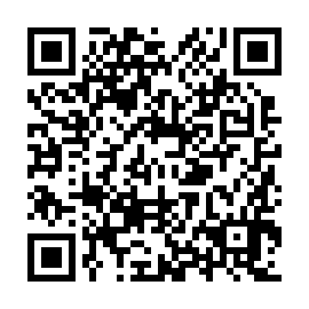 QR code for YXJ 294