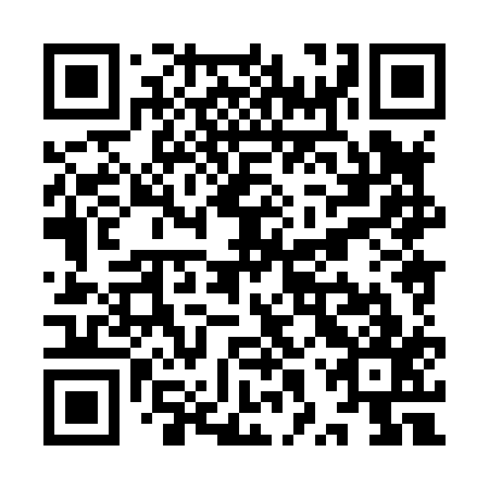 QR code for plate YXX 817
