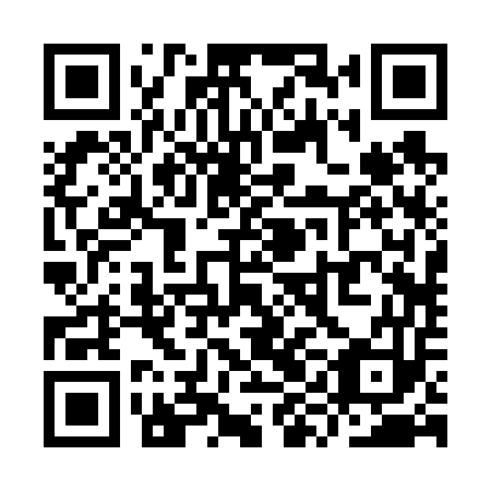 QR code for plate YYB 653