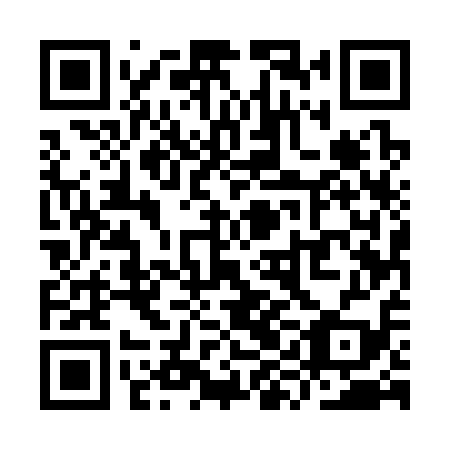 QR code for plate YYE 319