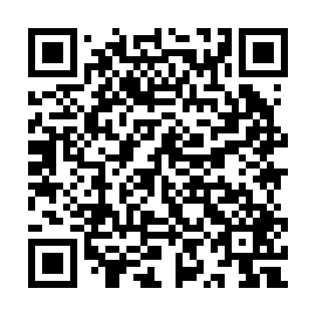 QR code for YYI 249