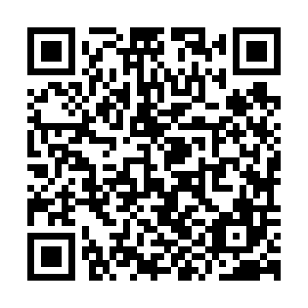 QR code for plate YYJ 606