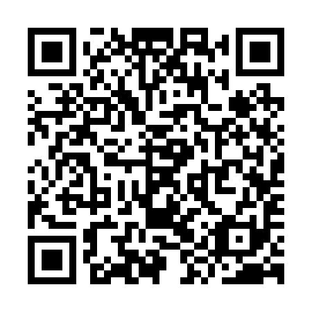 QR code for YYS 291