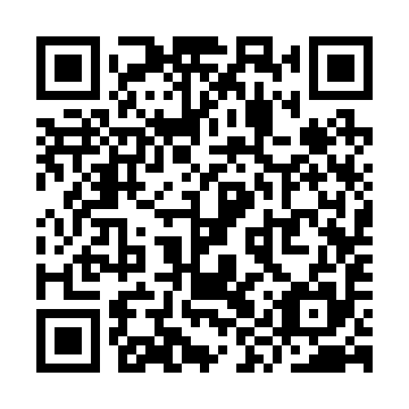 QR code for YYS 295