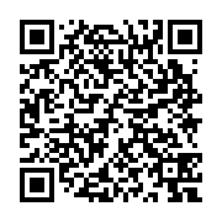 QR code for plate YYY 338