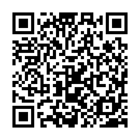 QR code for YYZ 315