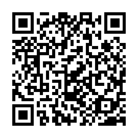 QR code for YYZ119