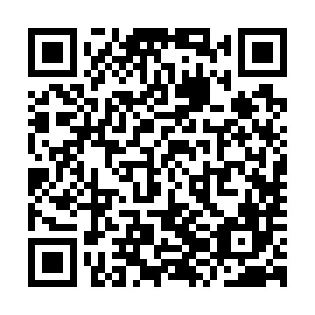 QR code for YZB 786