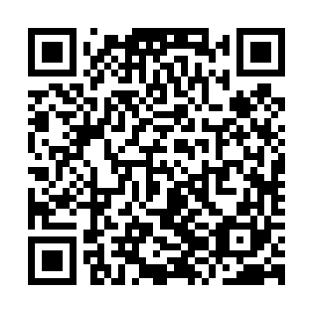 QR code for plate YZB 460