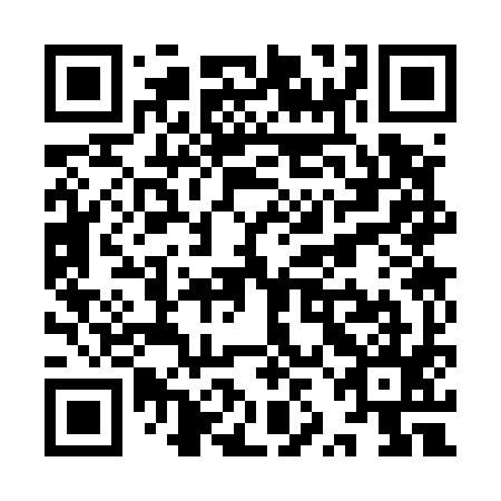 QR code for YZC595