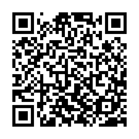 QR code for YZD 141