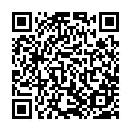 QR code for YZD 382