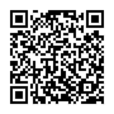 QR code for plate YZD 699