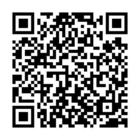 QR code for plate YZF 613