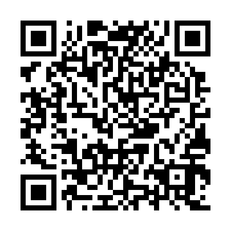 QR code for YZG 312