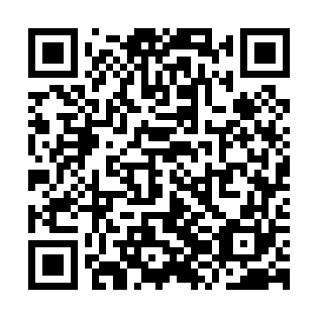 QR code for plate YZG 060